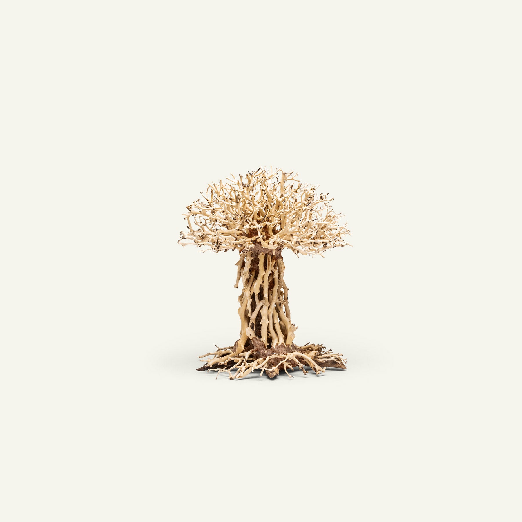 Ultum Nature Systems UNS Bonsai Tree Driftwood Aquarium Hardscape Wood 007