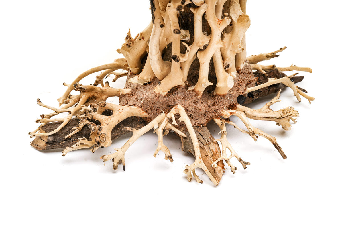 Ultum Nature Systems UNS Bonsai Tree Driftwood Aquarium Hardscape Wood 007