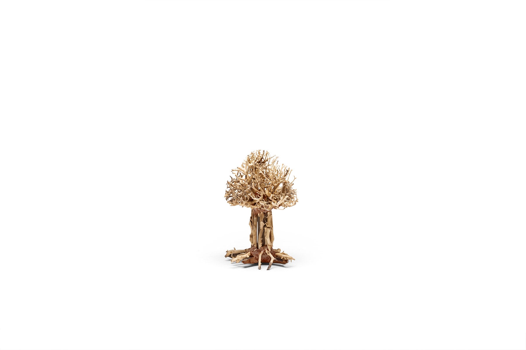 Ultum Nature Systems UNS Bonsai Tree Driftwood Aquarium Hardscape Wood 007