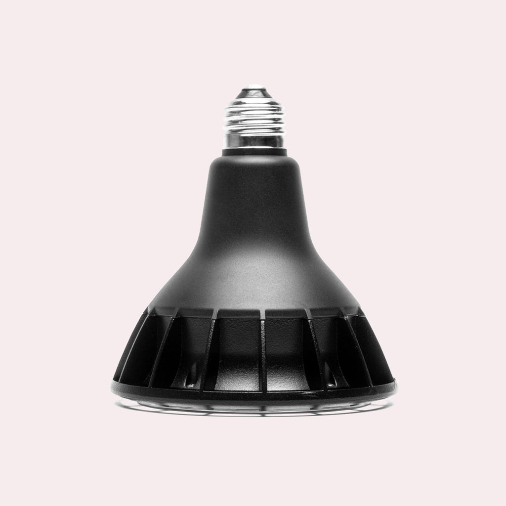 ONF Aditya Plant Lamp LED Light - Glass Aqua