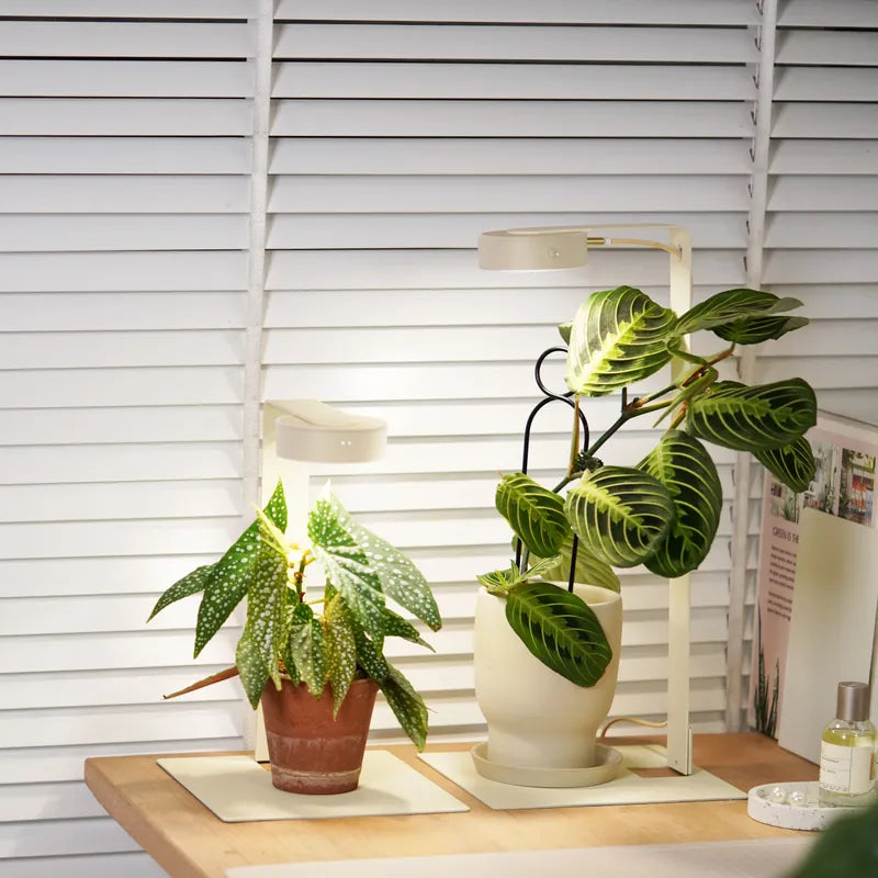 ONF MIST O Magnetic LED Plant Light