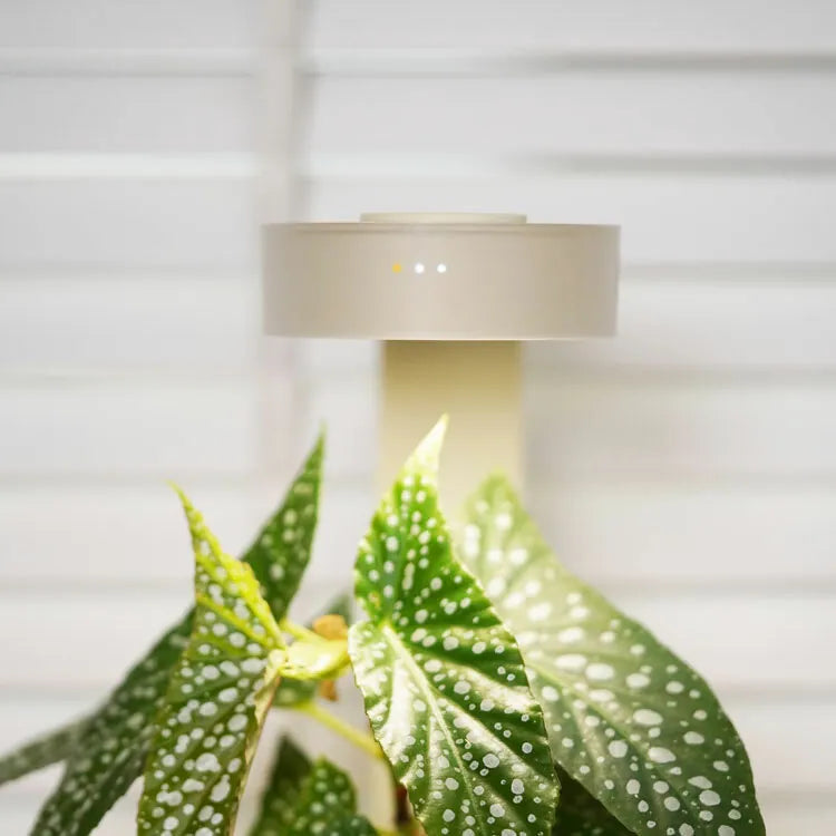 ONF MIST O Magnetic LED Plant Light