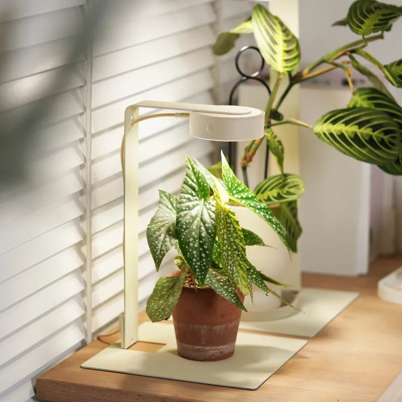 ONF MIST O Magnetic LED Plant Light
