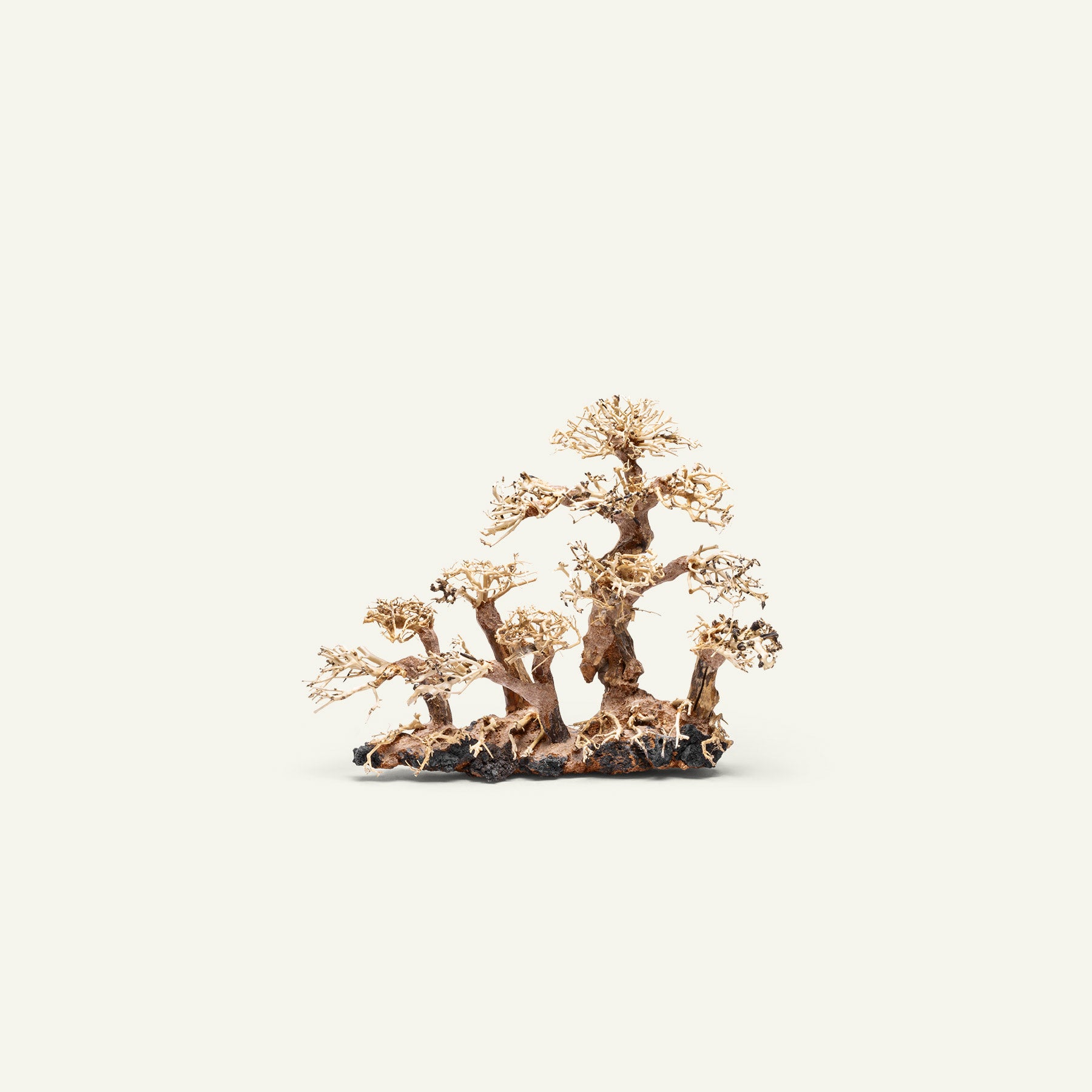 Ultum Nature Systems UNS Bonsai Tree Driftwood Aquarium Hardscape Wood 008