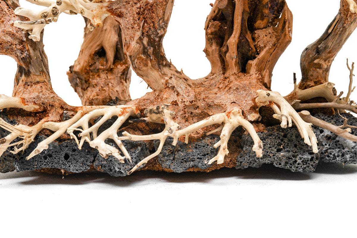 Ultum Nature Systems UNS Bonsai Tree Driftwood Aquarium Hardscape Wood 008