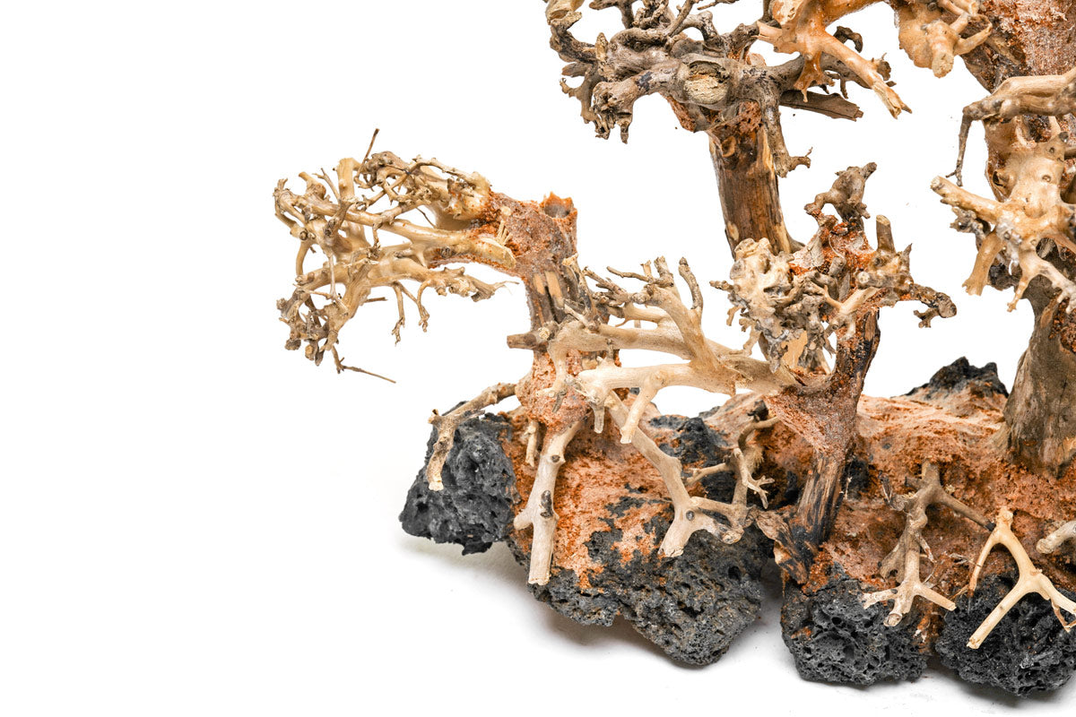 Ultum Nature Systems UNS Bonsai Tree Driftwood Aquarium Hardscape Wood 008