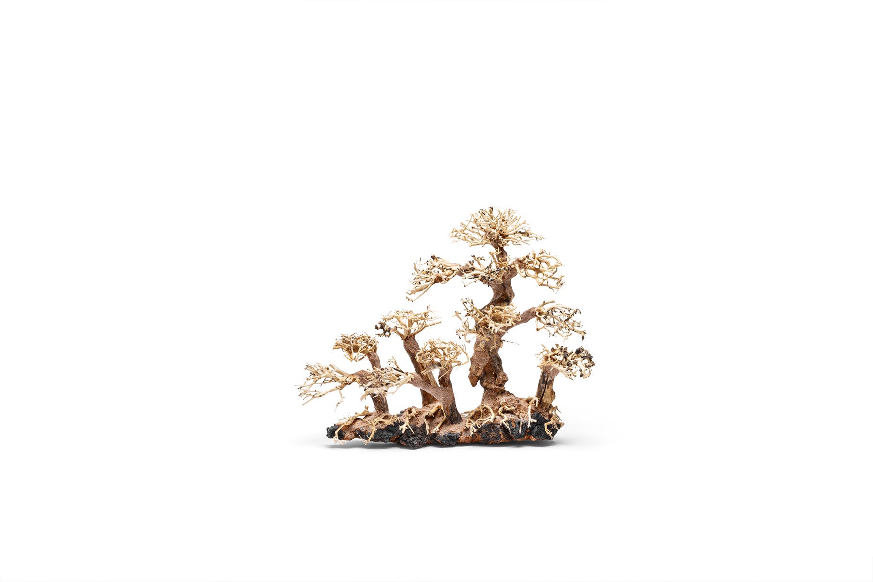 Ultum Nature Systems UNS Bonsai Tree Driftwood Aquarium Hardscape Wood 008