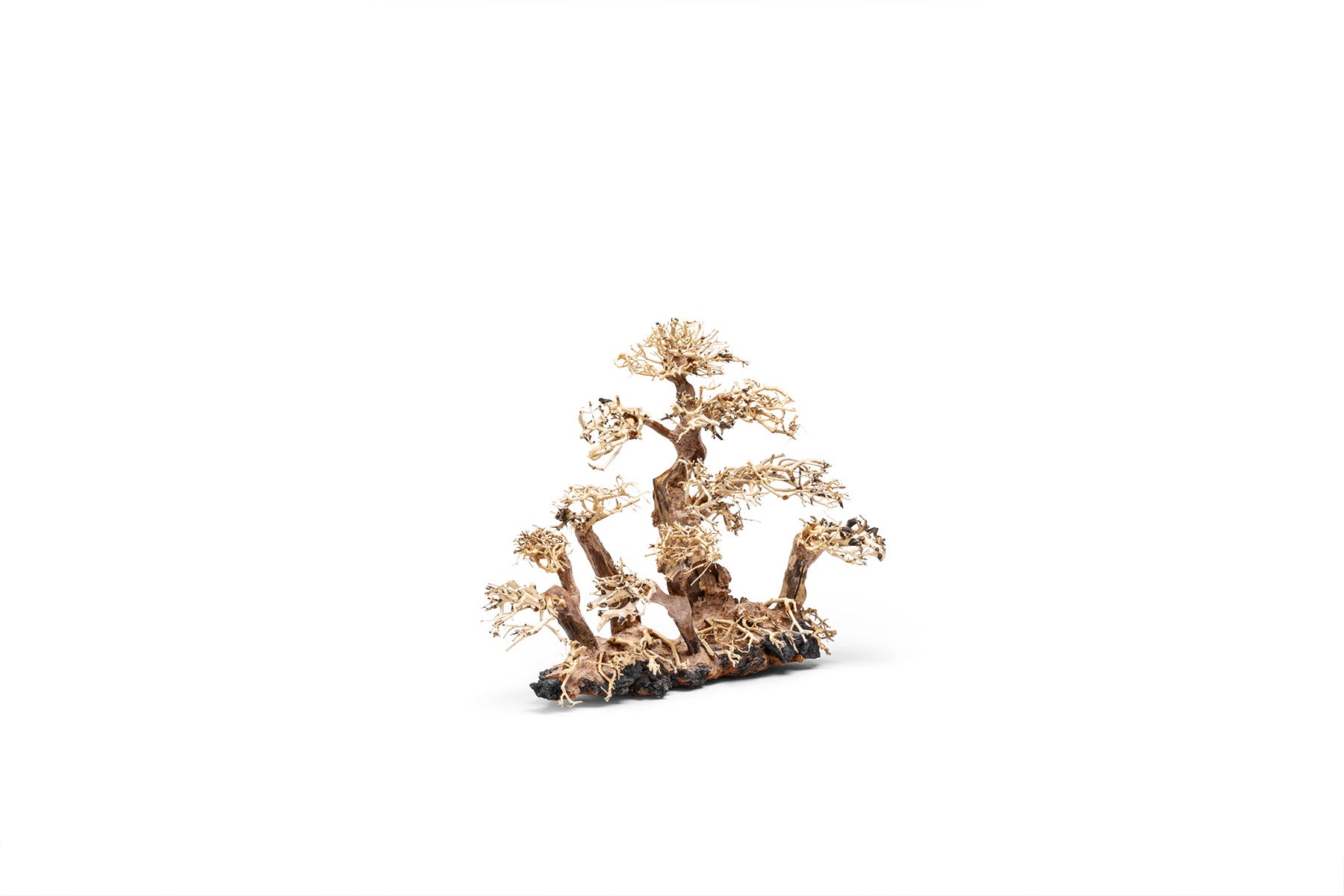 Ultum Nature Systems UNS Bonsai Tree Driftwood Aquarium Hardscape Wood 008