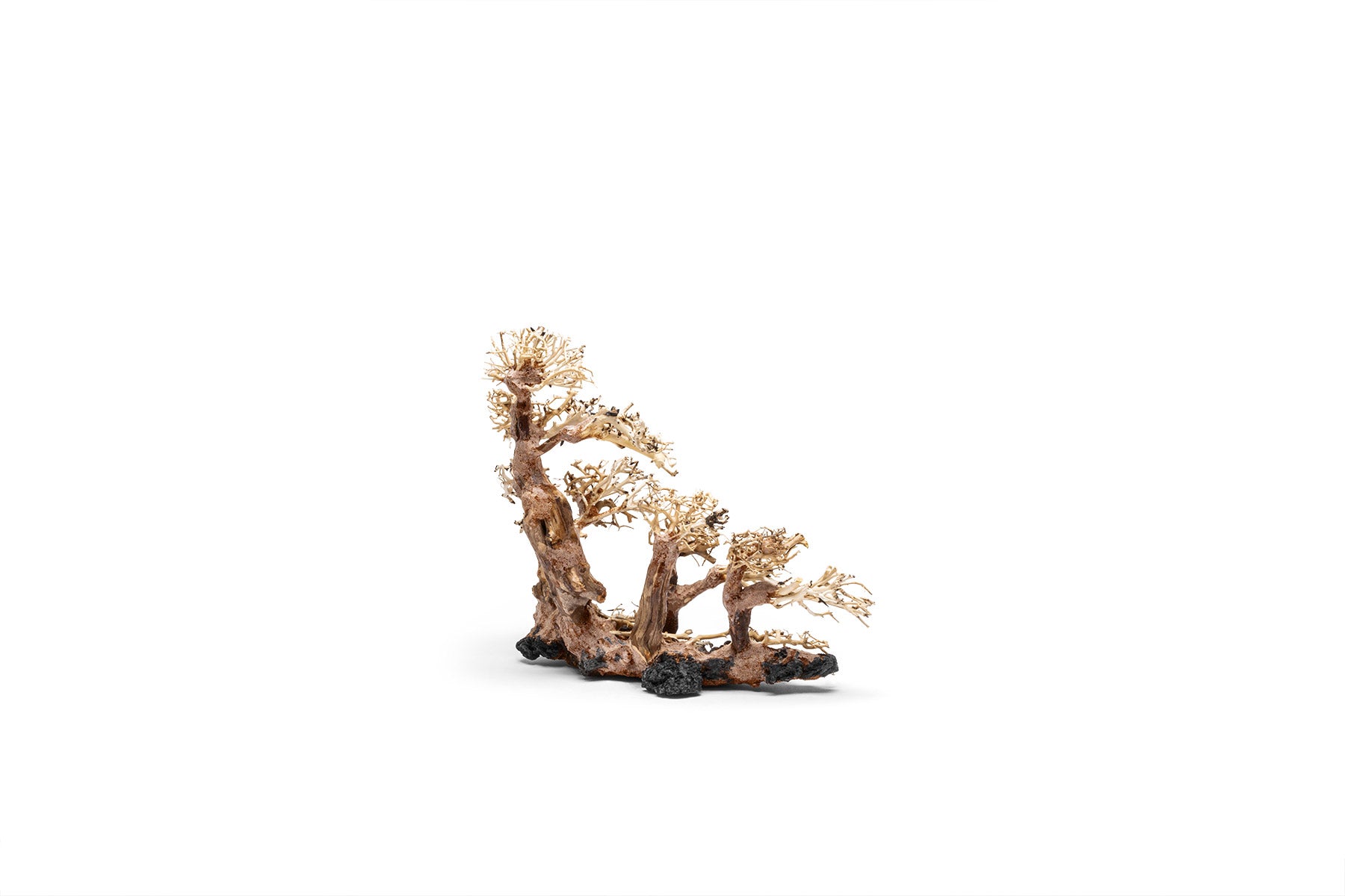 Ultum Nature Systems UNS Bonsai Tree Driftwood Aquarium Hardscape Wood 008