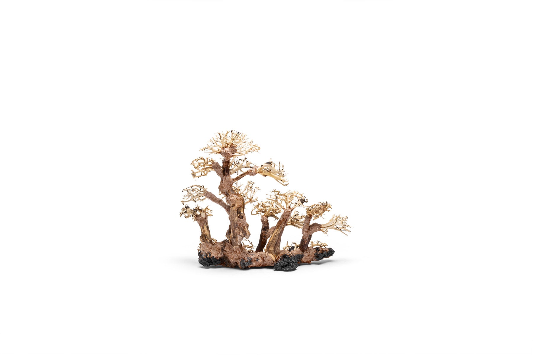 Ultum Nature Systems UNS Bonsai Tree Driftwood Aquarium Hardscape Wood 008