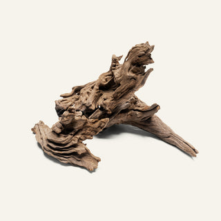 Pacific Driftwood Stump - Glass Aqua