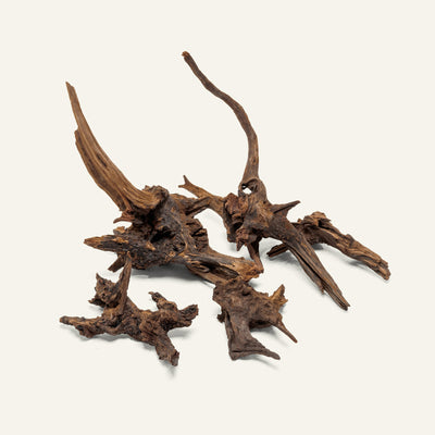 Pacific Wood - Glass Aqua