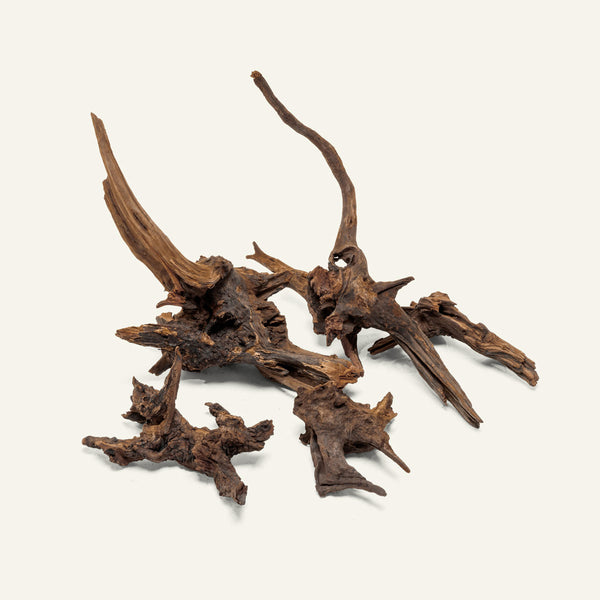 Pacific Wood - Glass Aqua