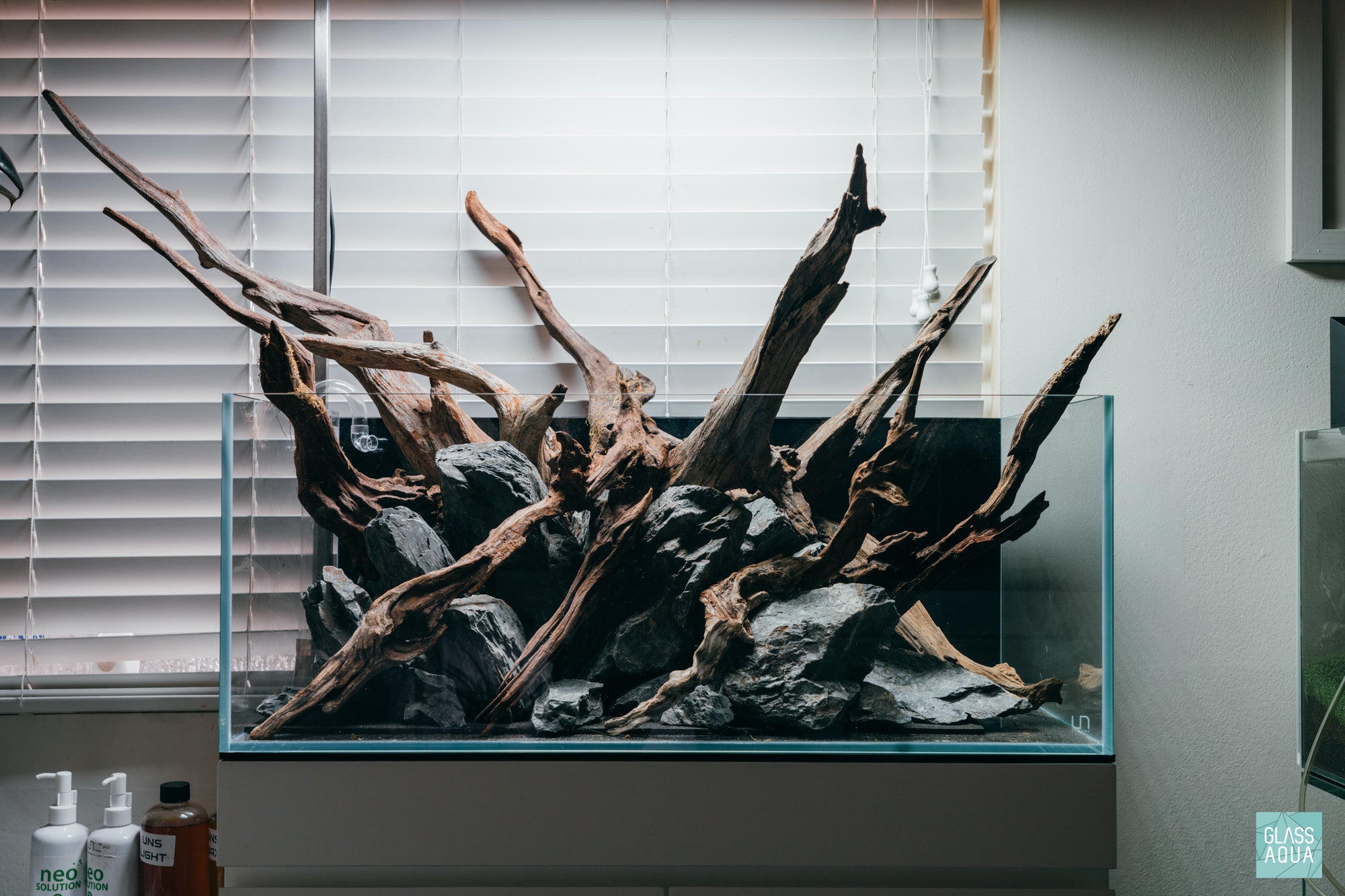 Rainforest Mist - Ultum Nature Systems 75S shallow planted aquarium hardscape layout