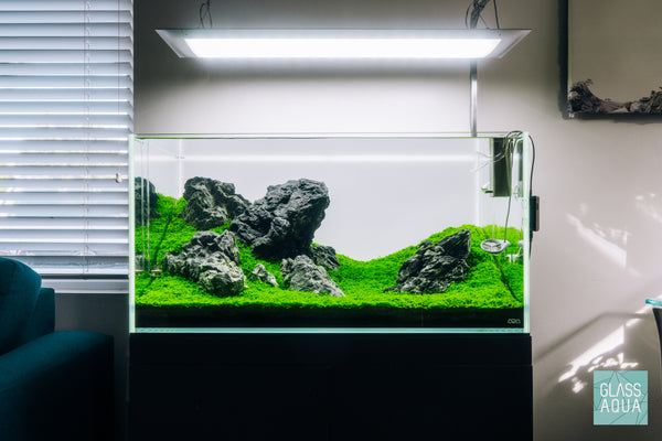 Build Your Own Iwagumi Aquascape - Starter Kit - Glass Aqua