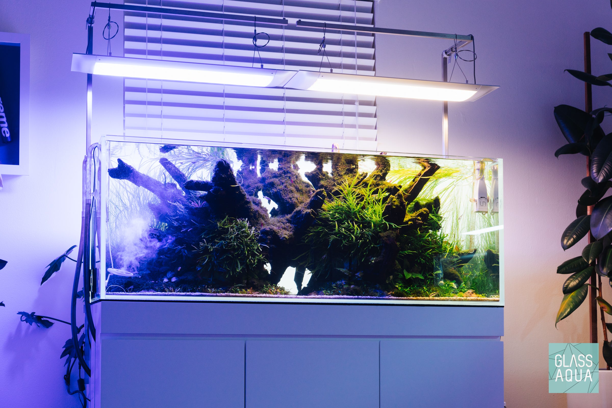 ONF Flat One Light on ADA 120P Planted Aquarium Tank