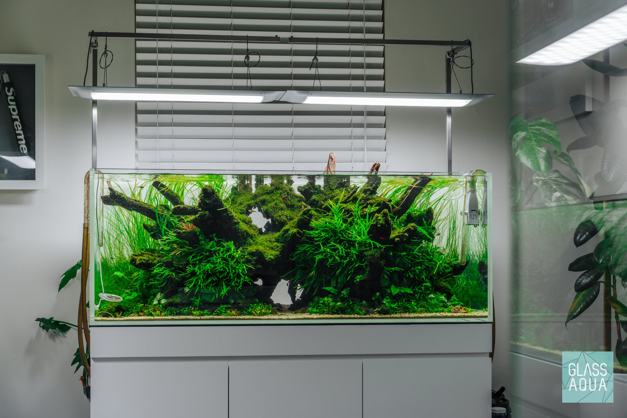 ONF Flat One Light on ADA 120P Planted Aquarium Tank