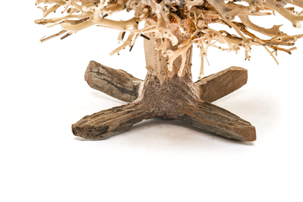 Ultum Nature Systems UNS Bonsai Tree Driftwood Aquarium Hardscape Wood 009