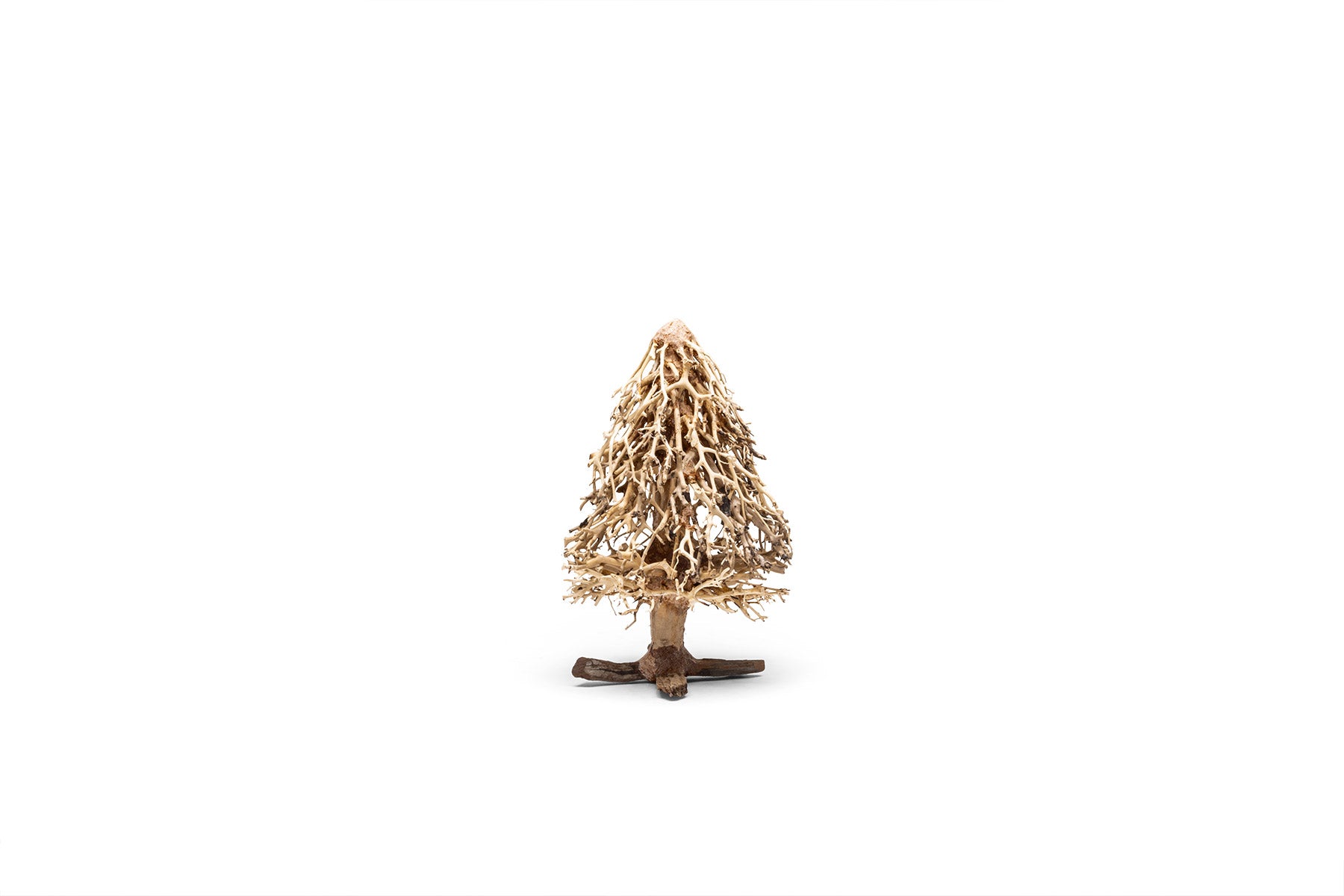 Ultum Nature Systems UNS Bonsai Tree Driftwood Aquarium Hardscape Wood 009