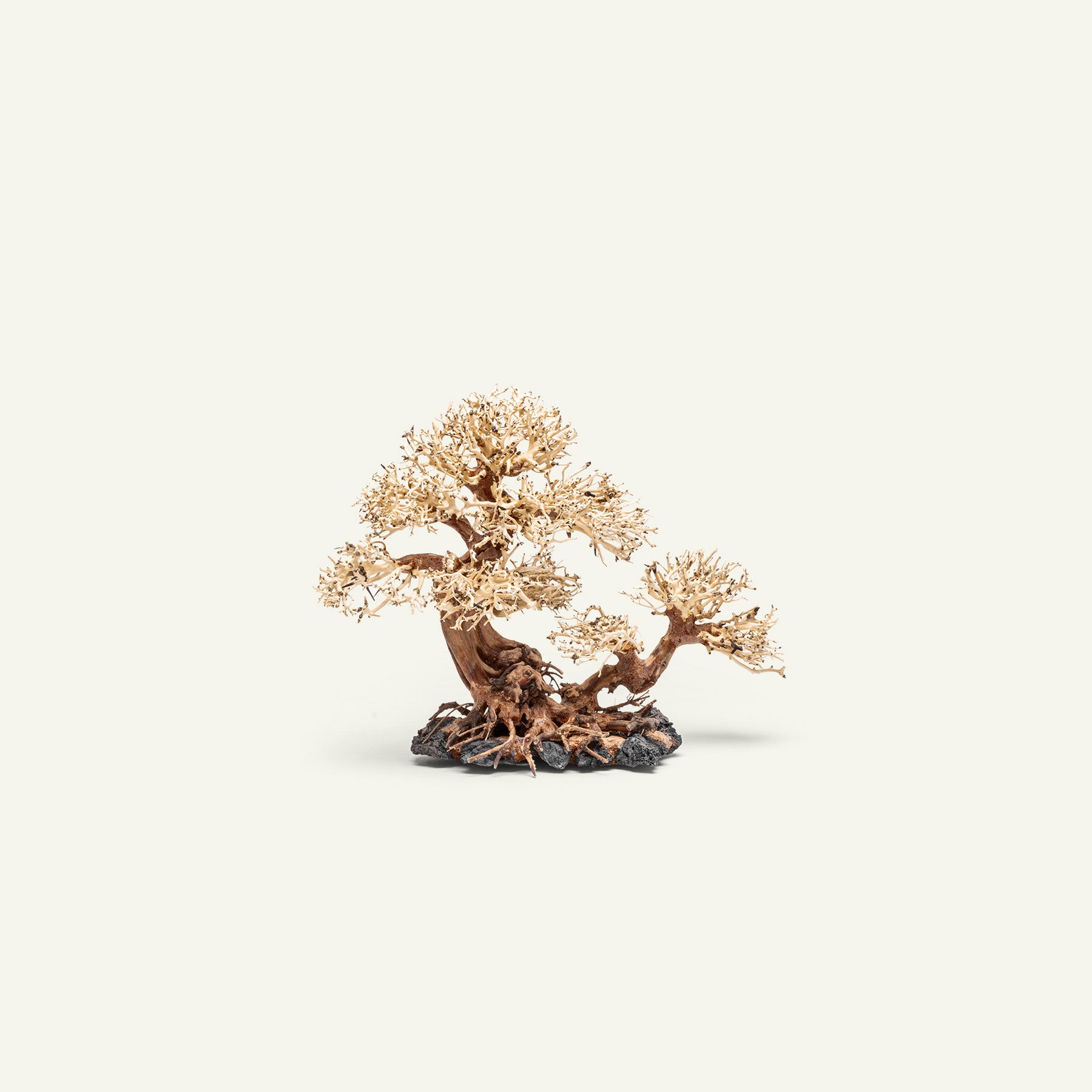Ultum Nature Systems UNS Bonsai Tree Driftwood Aquarium Hardscape Wood 011