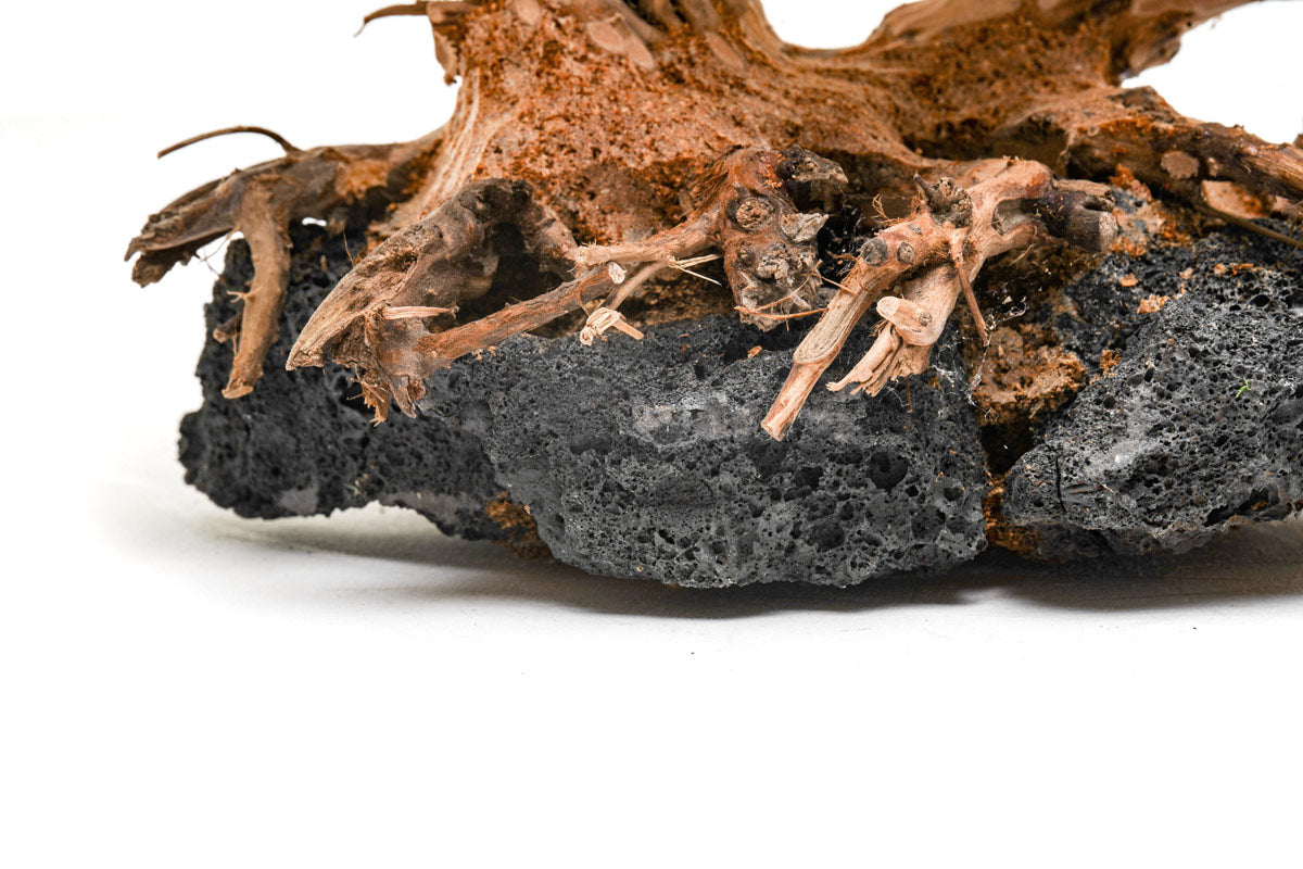 Ultum Nature Systems UNS Bonsai Tree Driftwood Aquarium Hardscape Wood 011