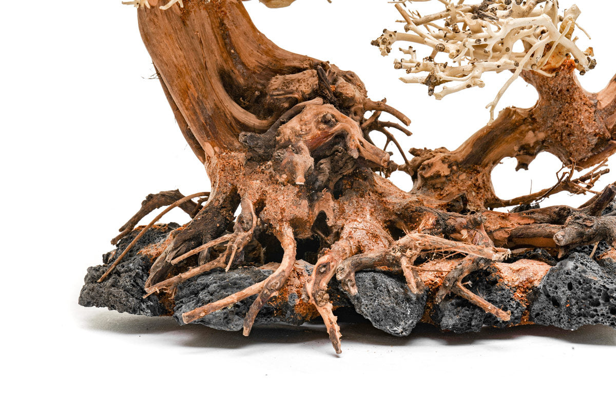 Ultum Nature Systems UNS Bonsai Tree Driftwood Aquarium Hardscape Wood 011