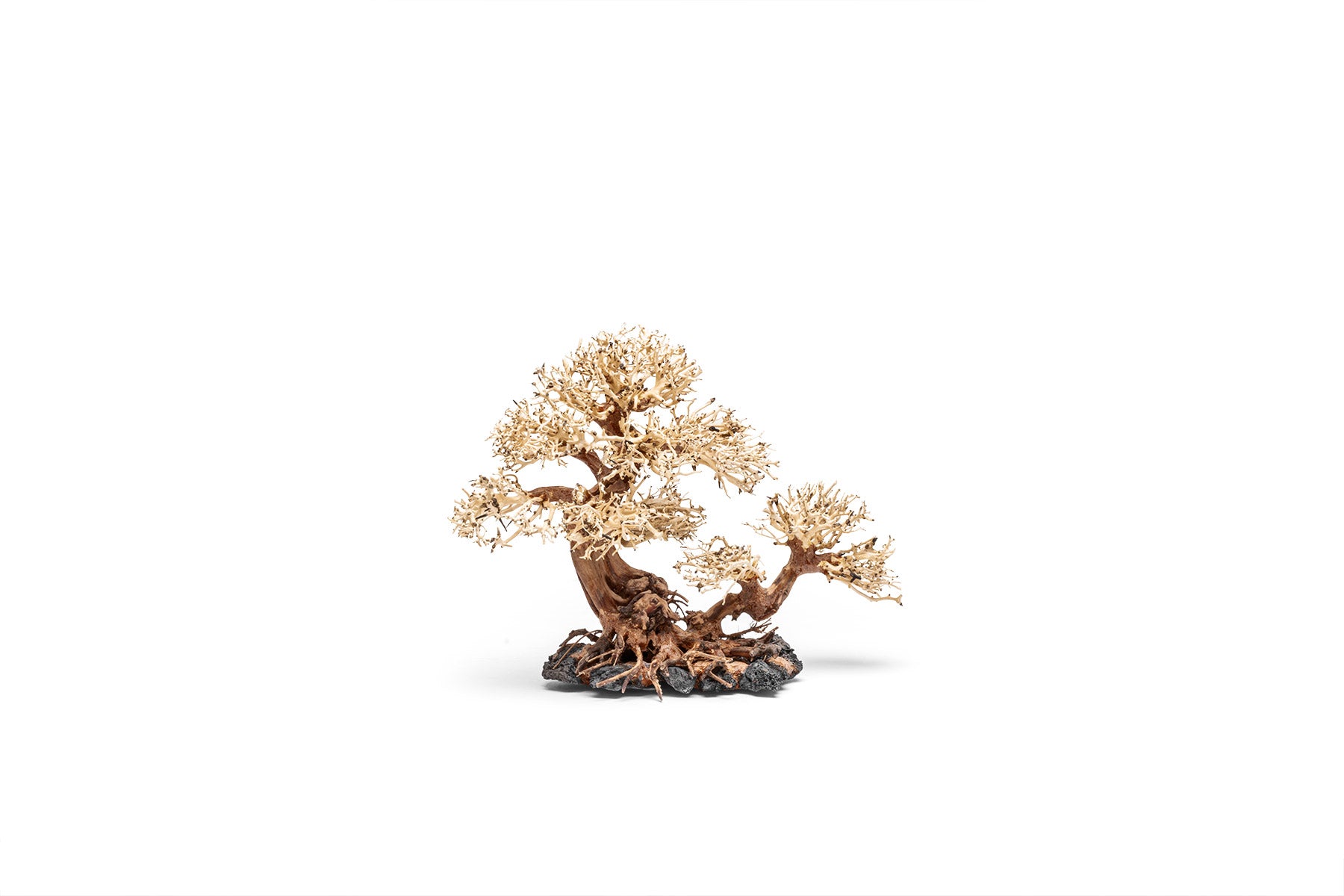 Ultum Nature Systems UNS Bonsai Tree Driftwood Aquarium Hardscape Wood 011