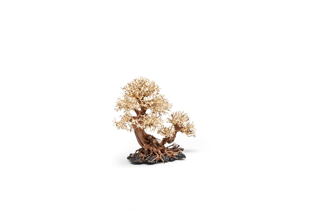 Ultum Nature Systems UNS Bonsai Tree Driftwood Aquarium Hardscape Wood 011