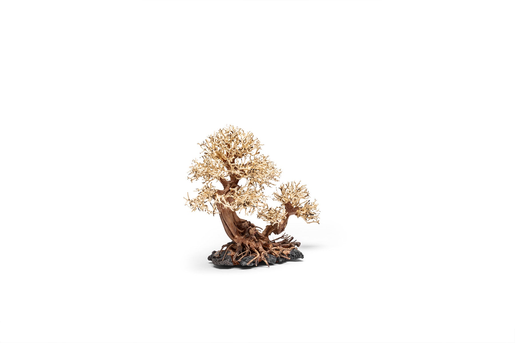 Ultum Nature Systems UNS Bonsai Tree Driftwood Aquarium Hardscape Wood 011