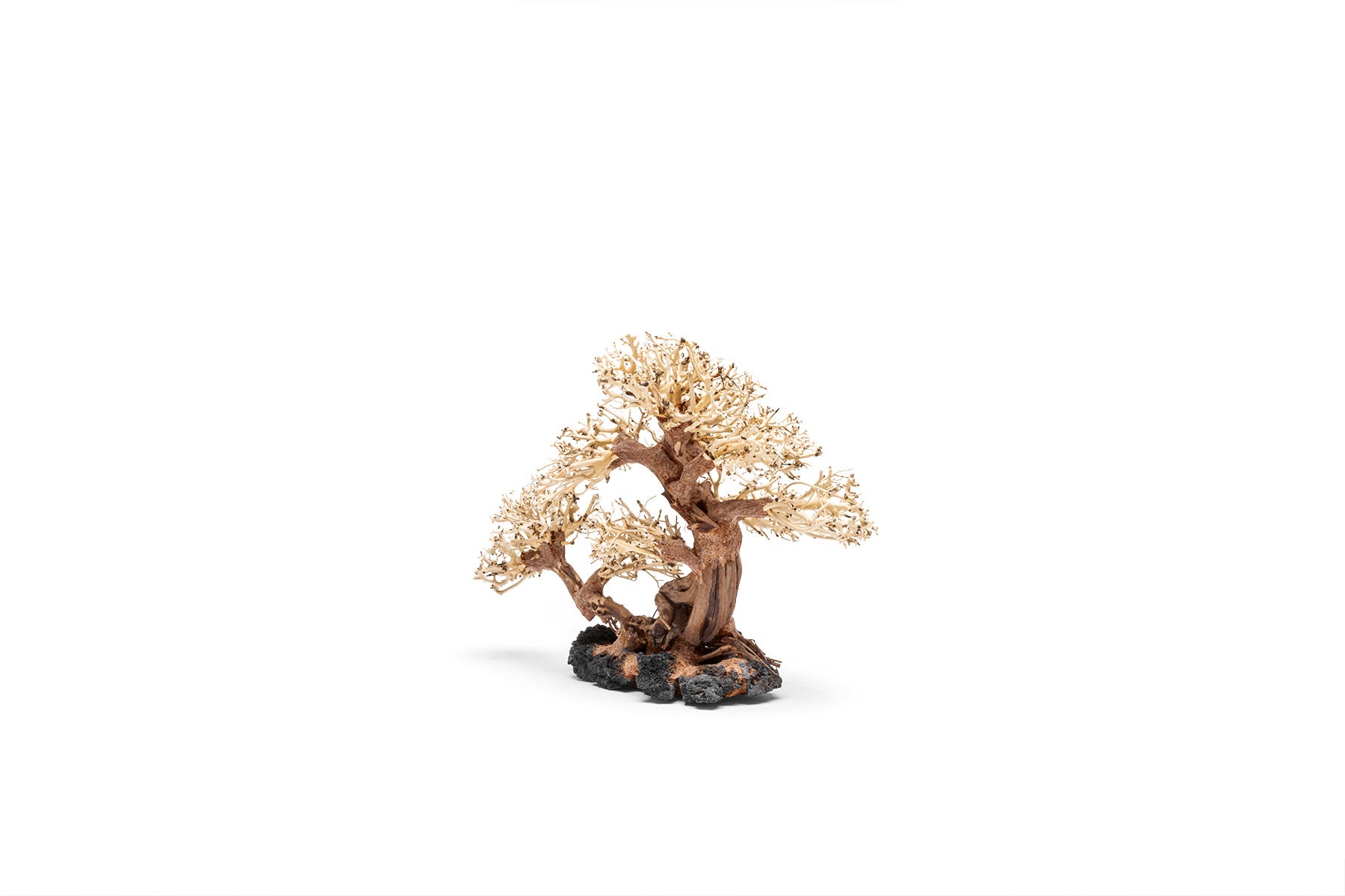 Ultum Nature Systems UNS Bonsai Tree Driftwood Aquarium Hardscape Wood 011