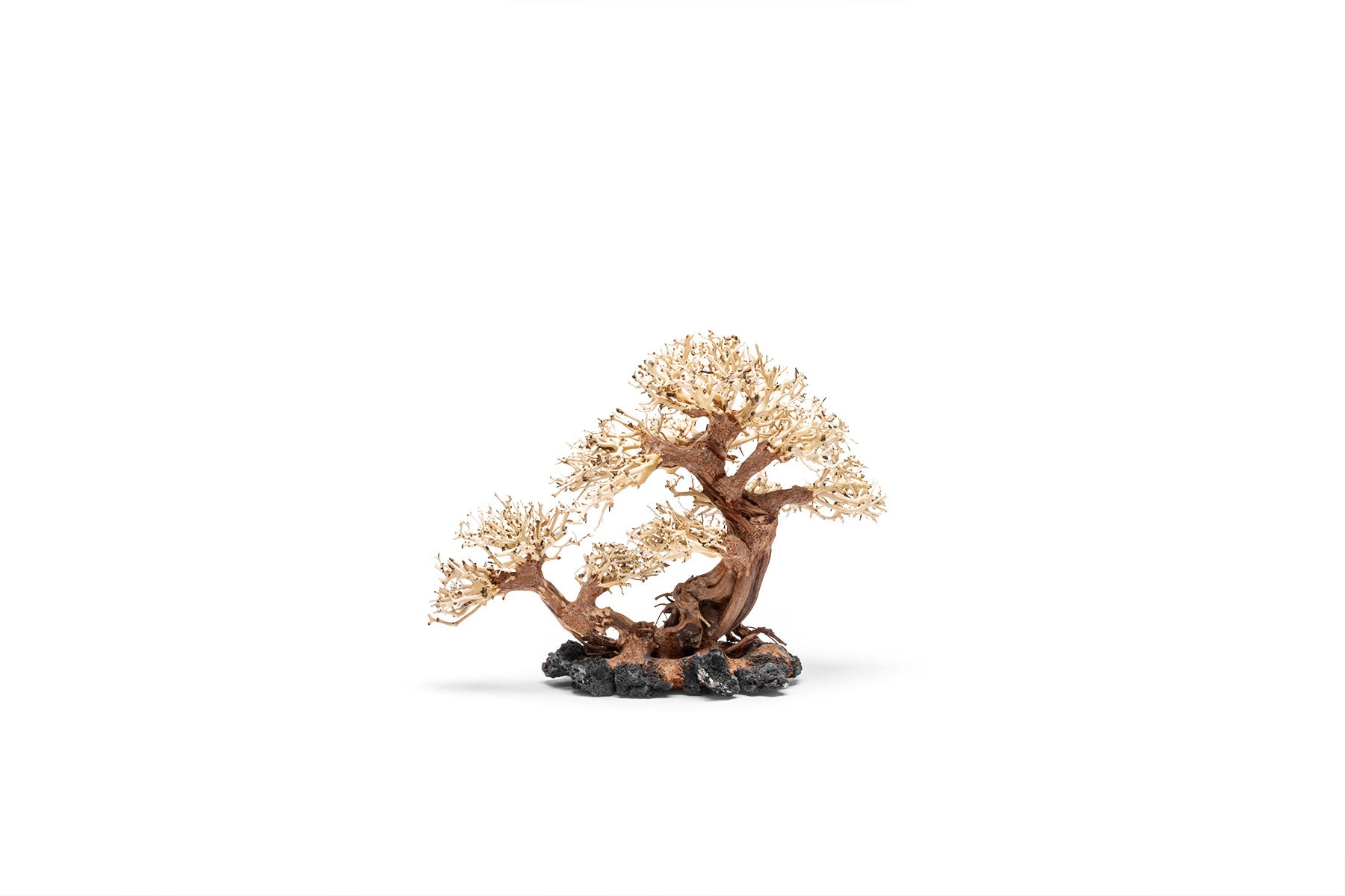 Ultum Nature Systems UNS Bonsai Tree Driftwood Aquarium Hardscape Wood 011