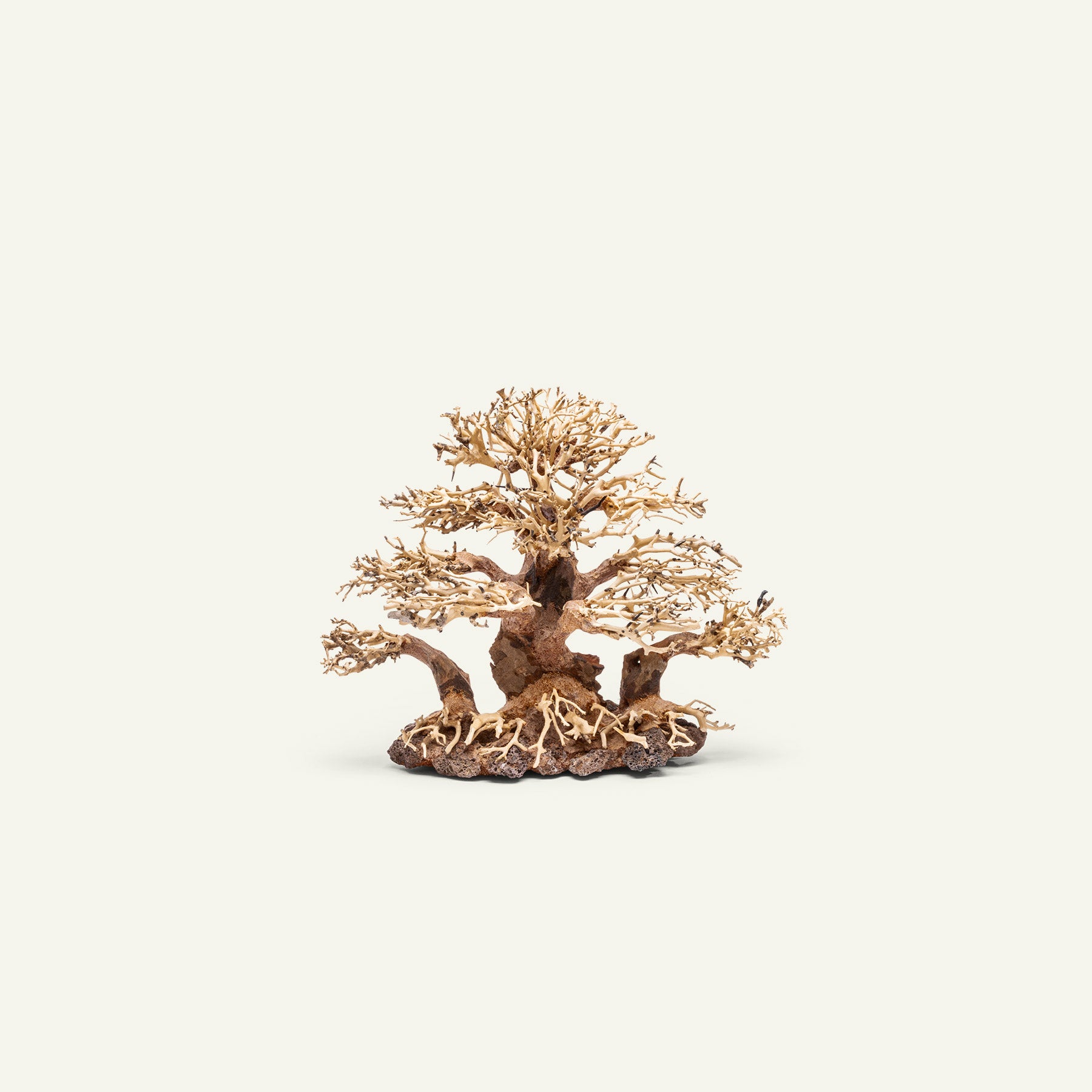 Ultum Nature Systems UNS Bonsai Tree Driftwood Aquarium Hardscape Wood 004