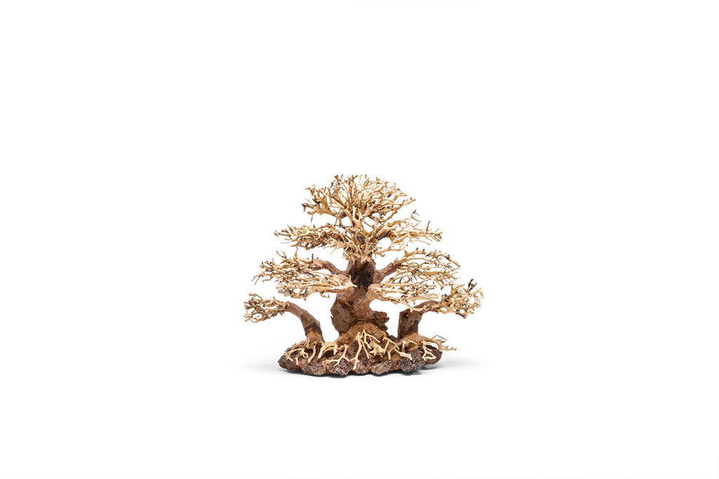 Ultum Nature Systems UNS Bonsai Tree Driftwood Aquarium Hardscape Wood 004