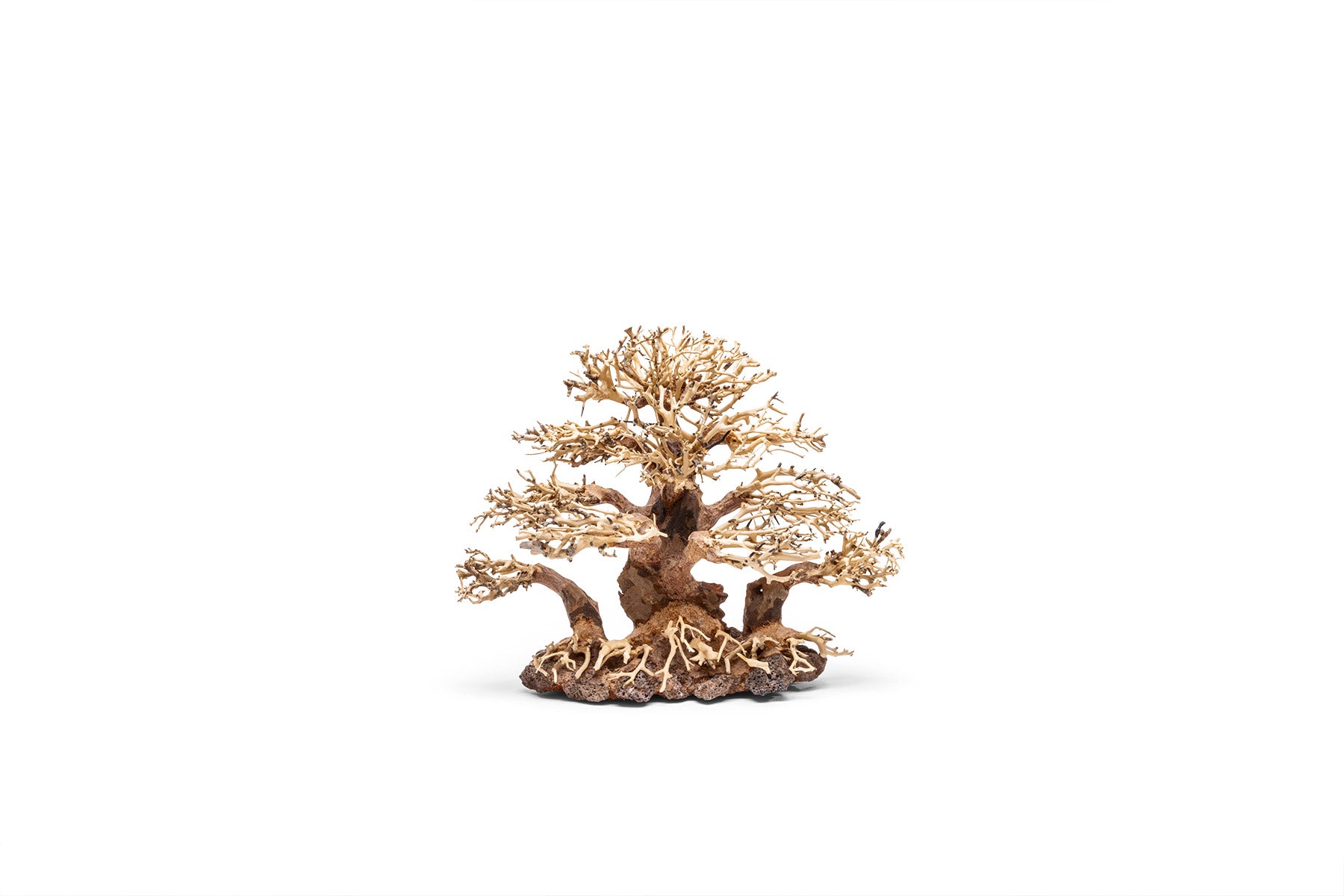 Ultum Nature Systems UNS Bonsai Tree Driftwood Aquarium Hardscape Wood 004