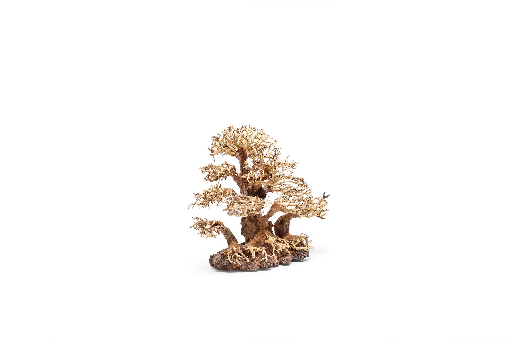 Ultum Nature Systems UNS Bonsai Tree Driftwood Aquarium Hardscape Wood 004