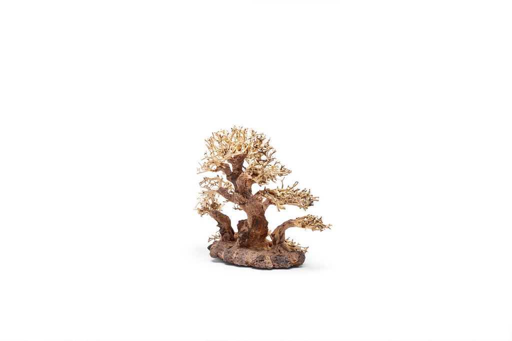 Ultum Nature Systems UNS Bonsai Tree Driftwood Aquarium Hardscape Wood 004