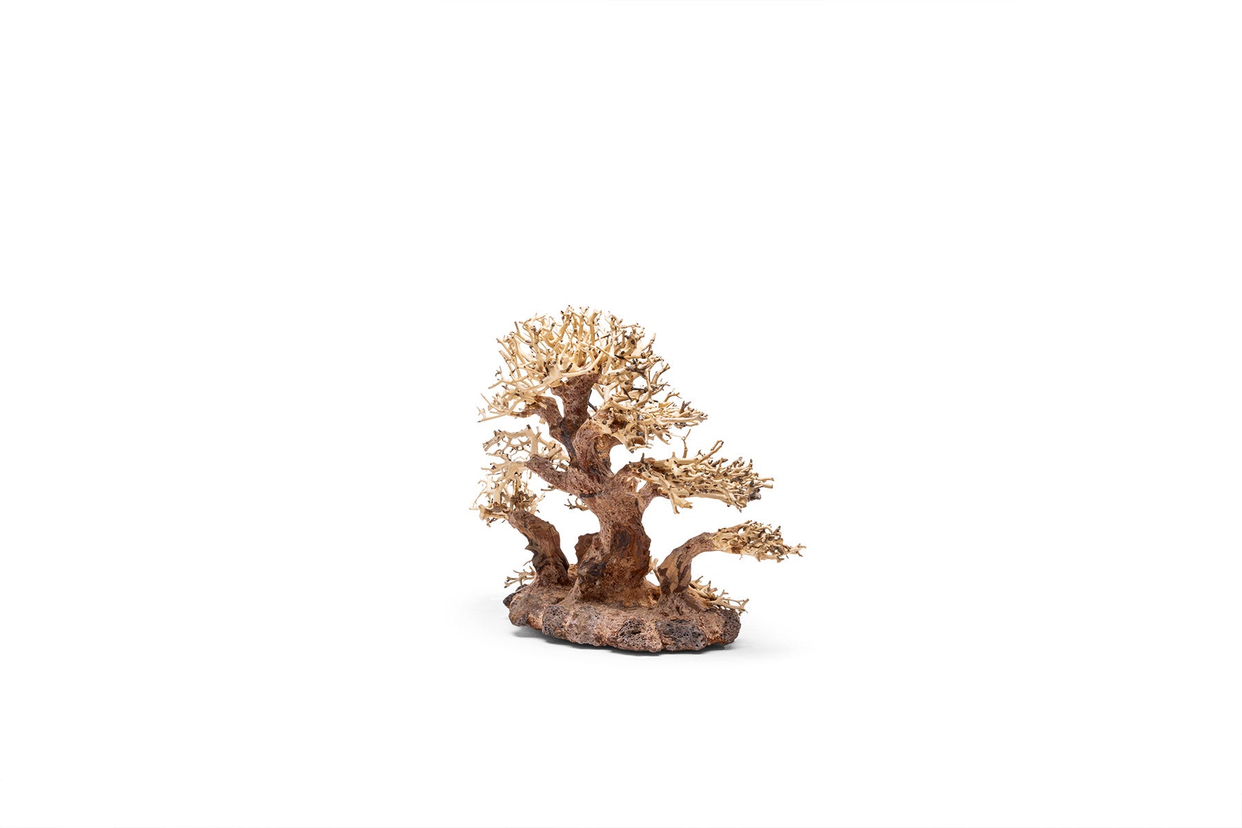 Ultum Nature Systems UNS Bonsai Tree Driftwood Aquarium Hardscape Wood 004