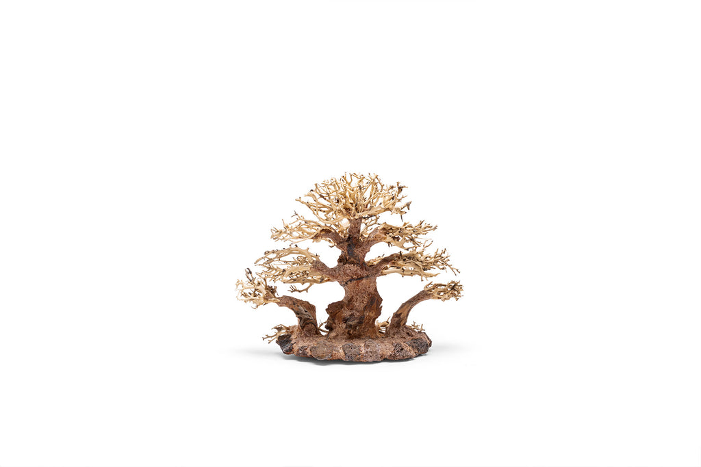 Ultum Nature Systems UNS Bonsai Tree Driftwood Aquarium Hardscape Wood 004
