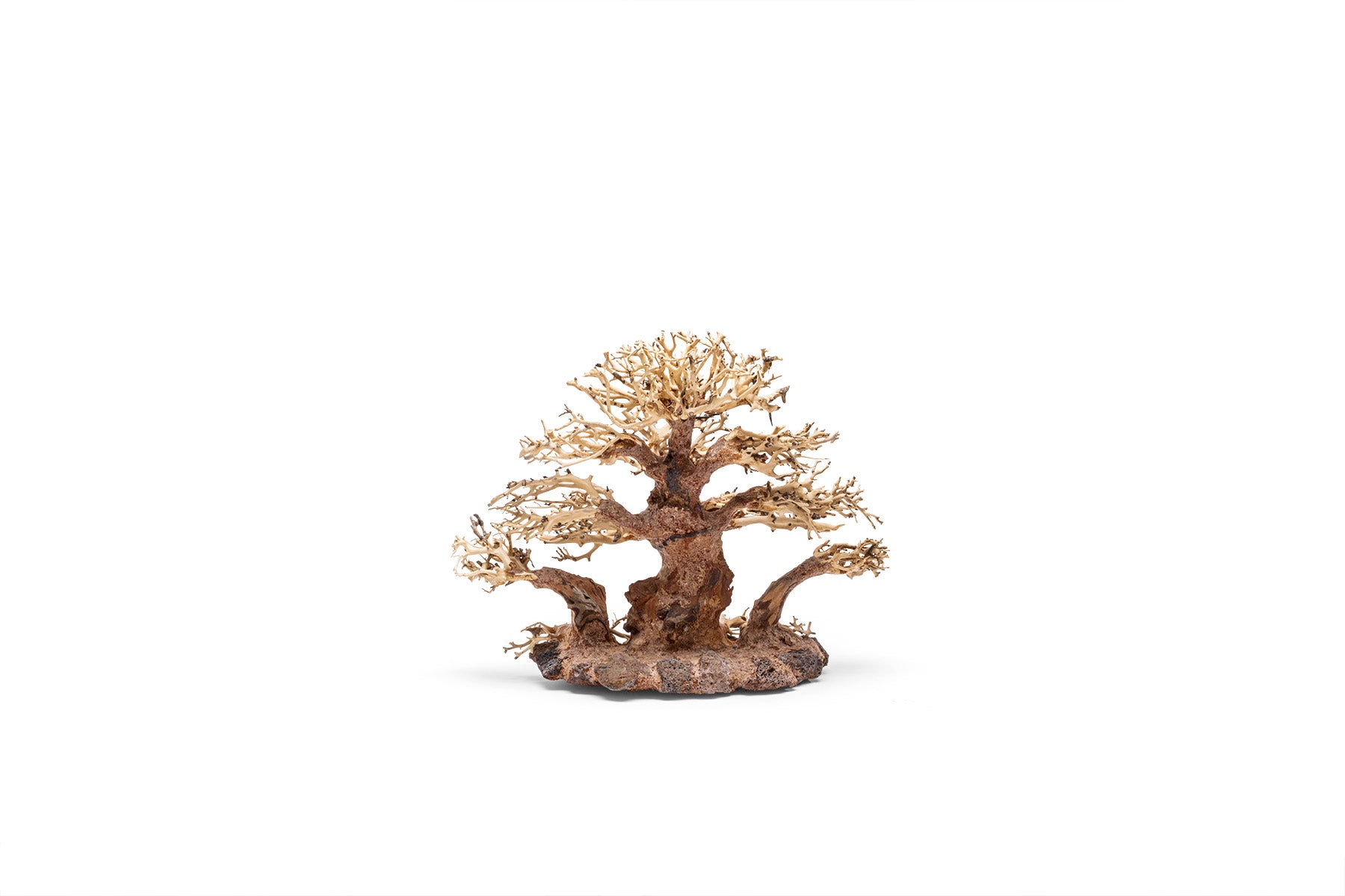 Ultum Nature Systems UNS Bonsai Tree Driftwood Aquarium Hardscape Wood 004