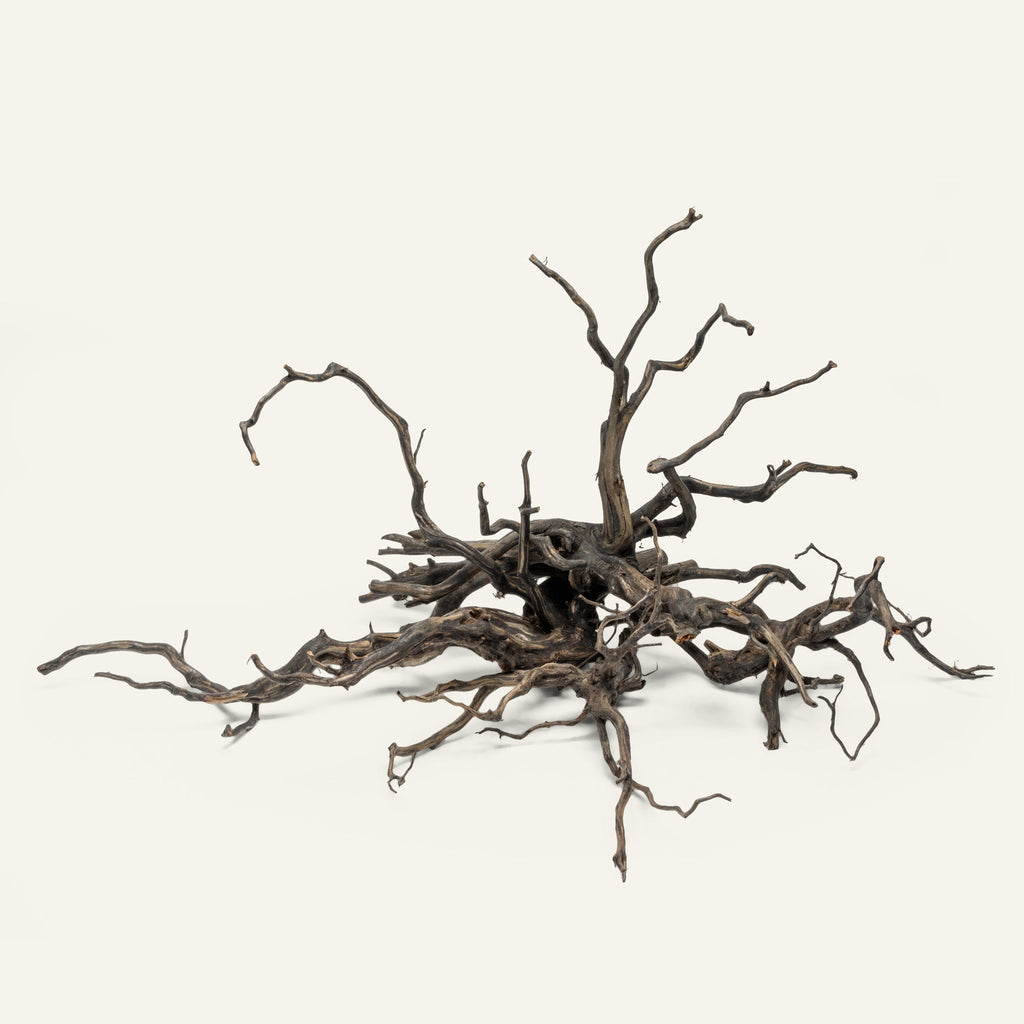 A group of River Driftwood natural aquarium hardscape for planted tanks