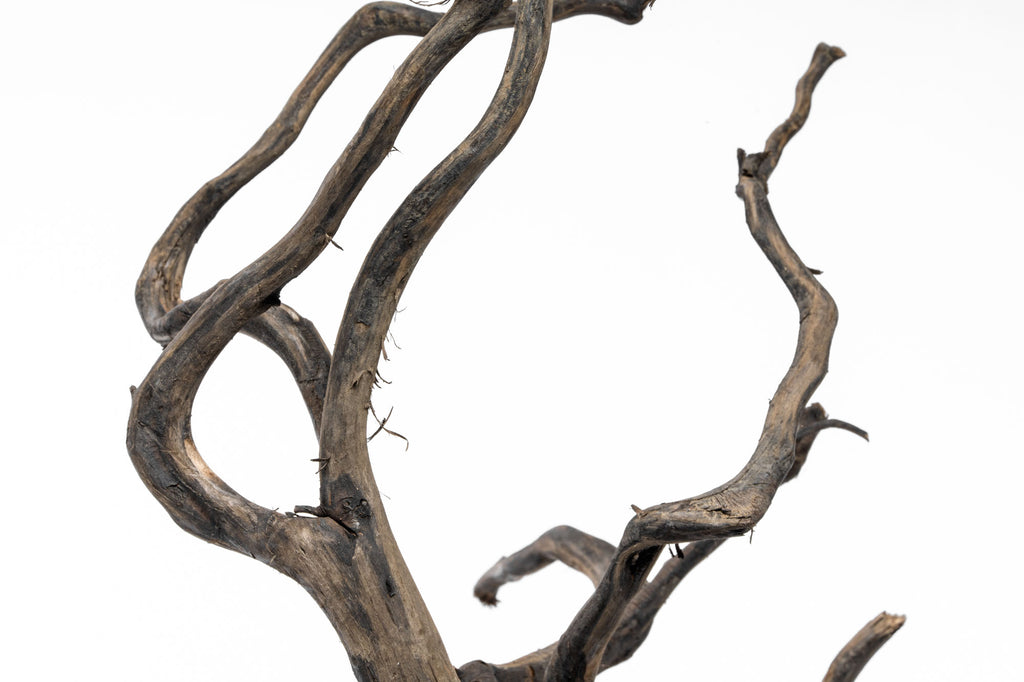 Close-up photo of River Driftwood showing twisting branches, shape and color