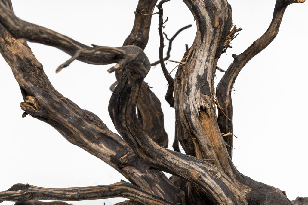 Close-up photo of River Driftwood showing color, texture and bark