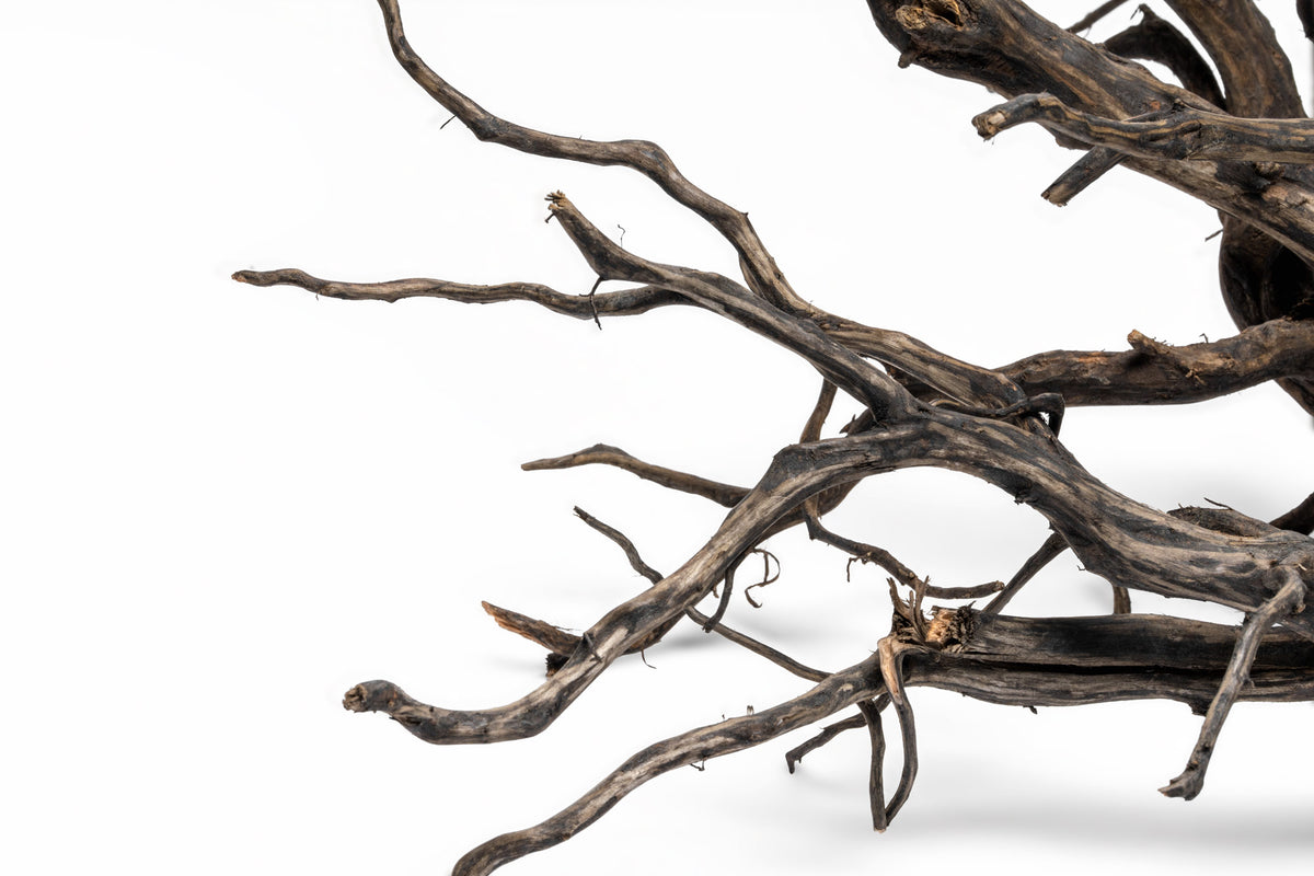 Close-up photo of River Driftwood aquarium hardscape showing shape and color