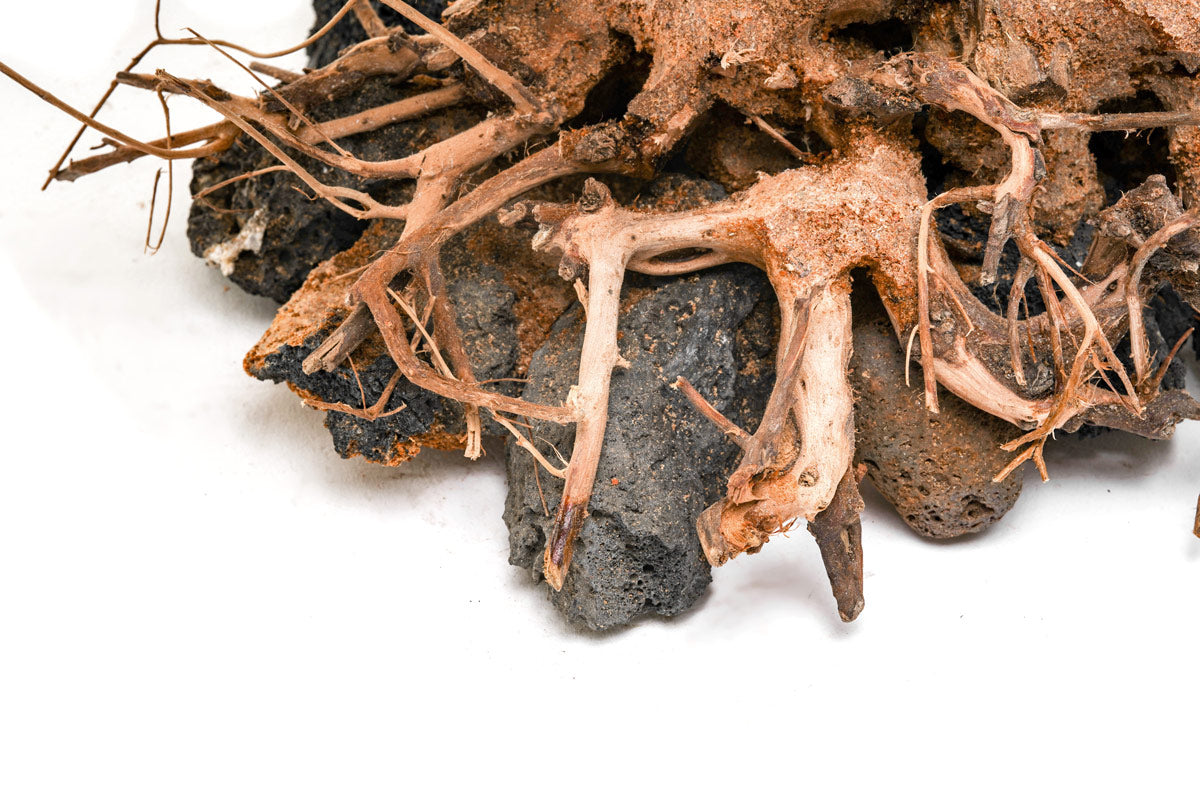 Ultum Nature Systems UNS Bonsai Tree Driftwood Aquarium Hardscape Wood 012