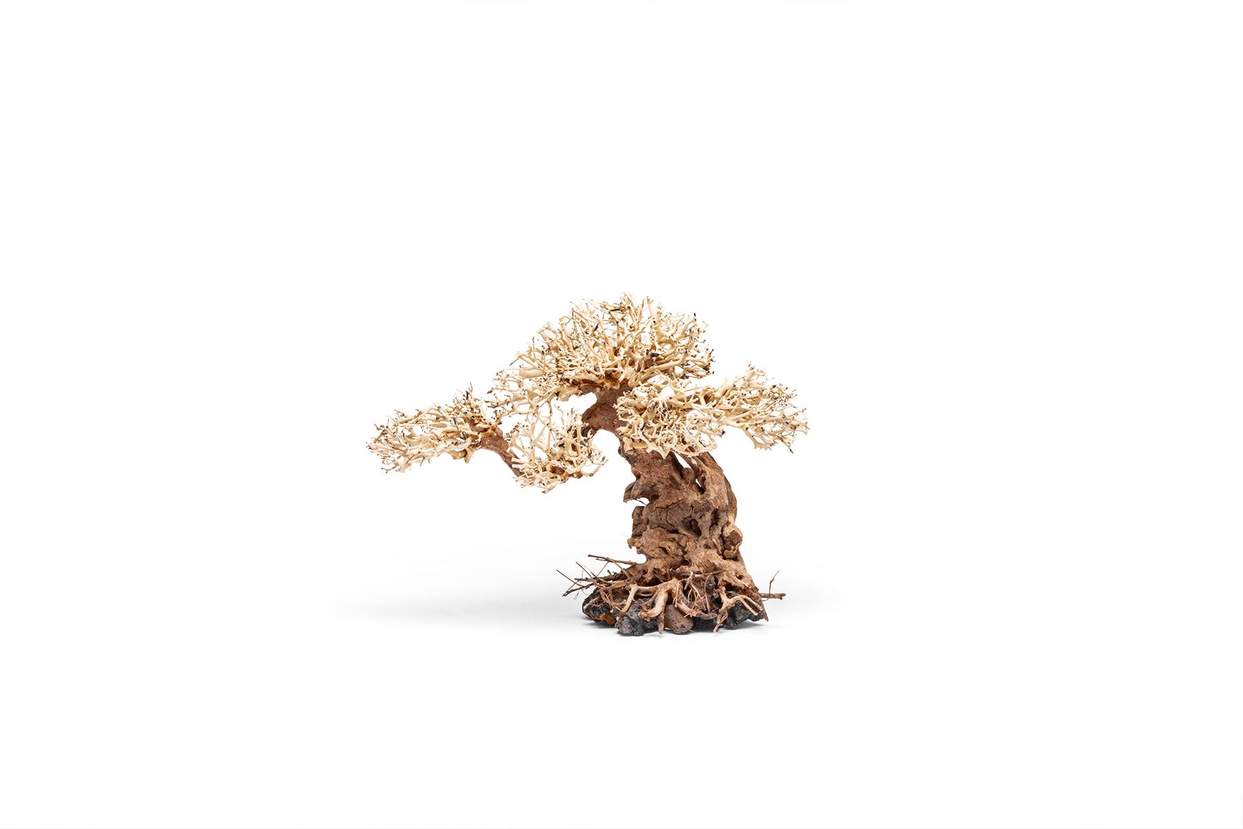 Ultum Nature Systems UNS Bonsai Tree Driftwood Aquarium Hardscape Wood 012