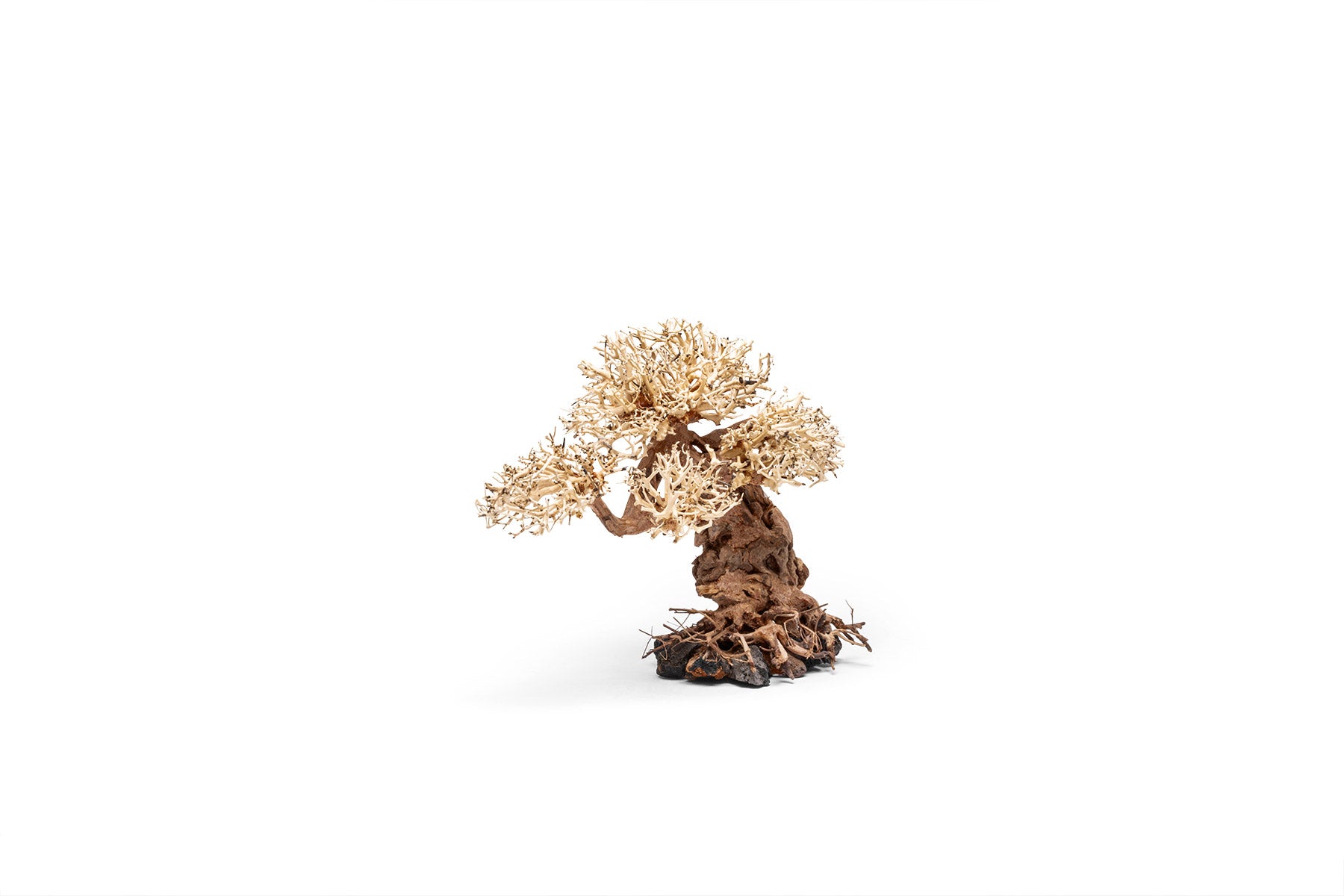 Ultum Nature Systems UNS Bonsai Tree Driftwood Aquarium Hardscape Wood 012