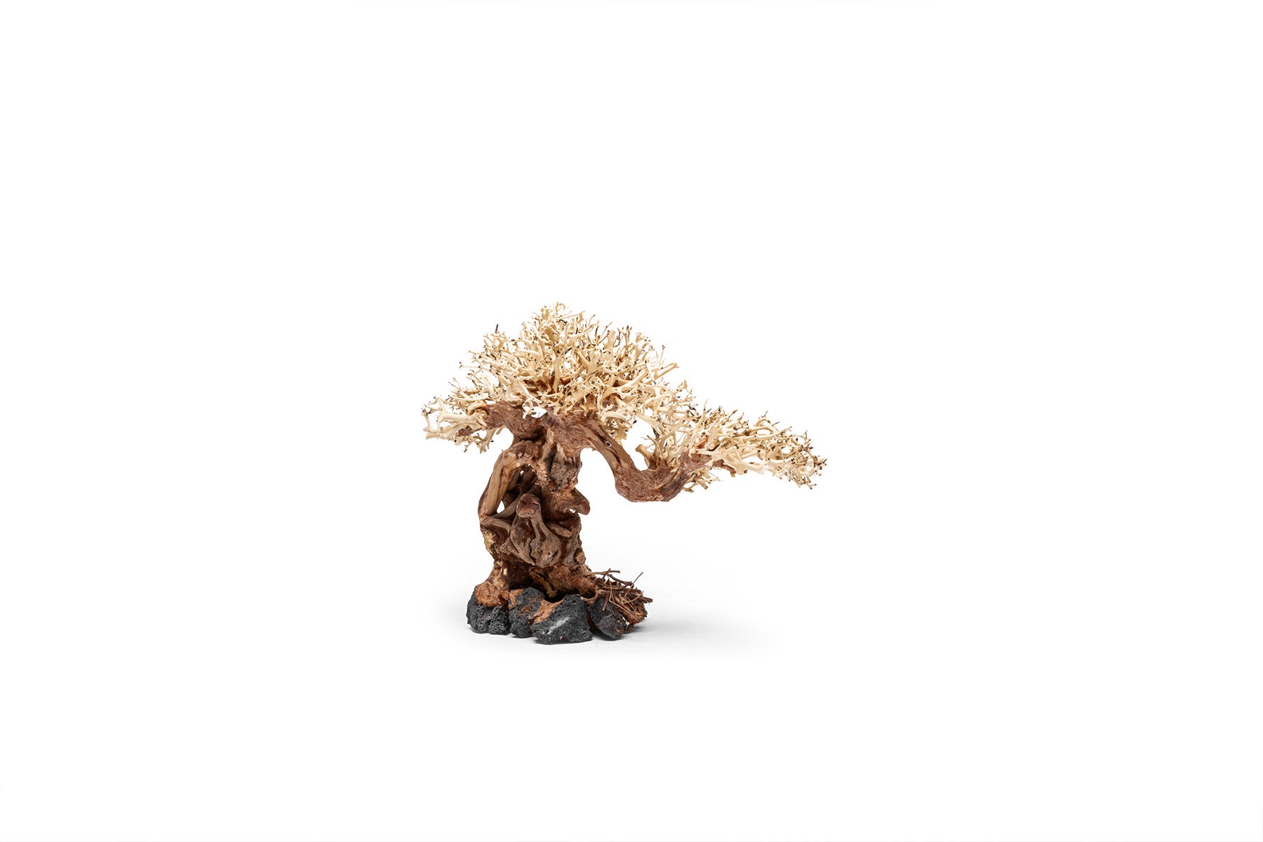 Ultum Nature Systems UNS Bonsai Tree Driftwood Aquarium Hardscape Wood 012