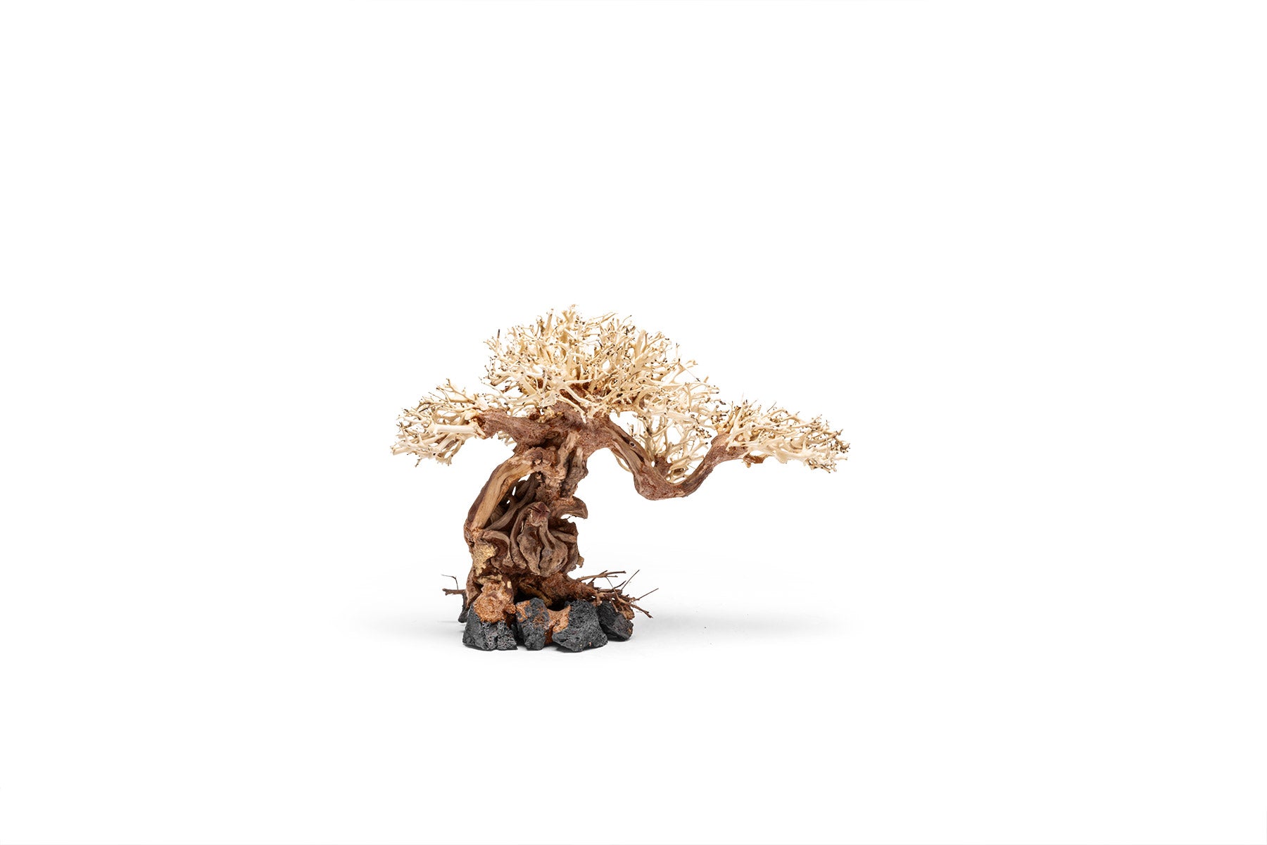 Ultum Nature Systems UNS Bonsai Tree Driftwood Aquarium Hardscape Wood 012