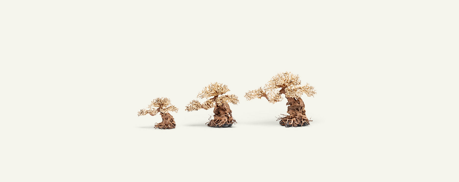 Ultum Nature Systems UNS Bonsai Tree Driftwood Aquarium Hardscape Wood 012