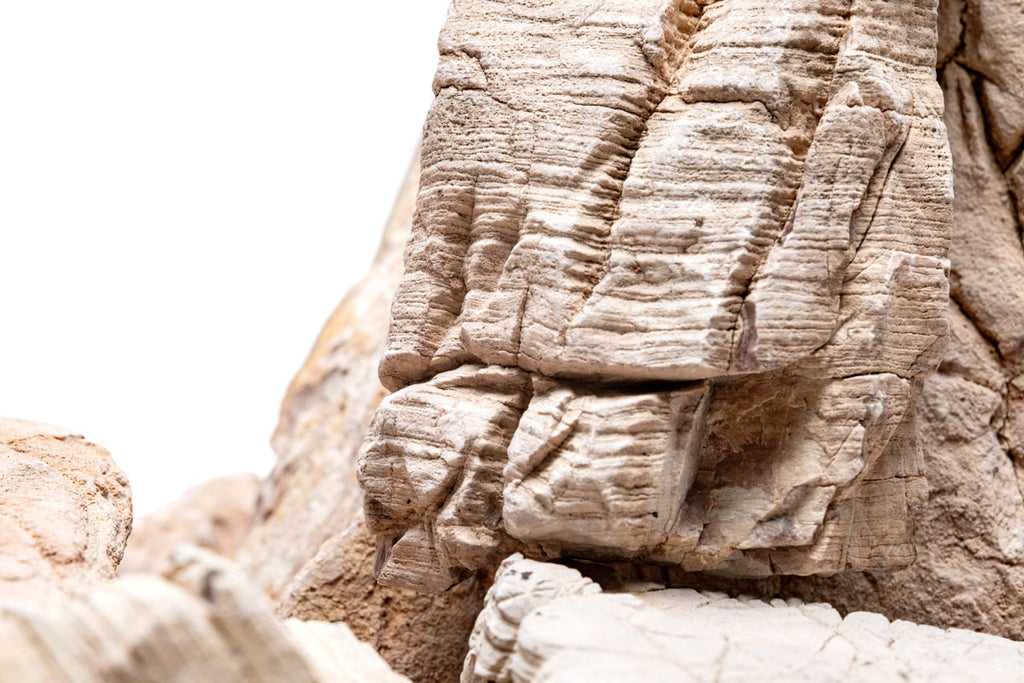 Close-up image of Sand Stone natural aquarium hardscape for planted aquariums showing striations